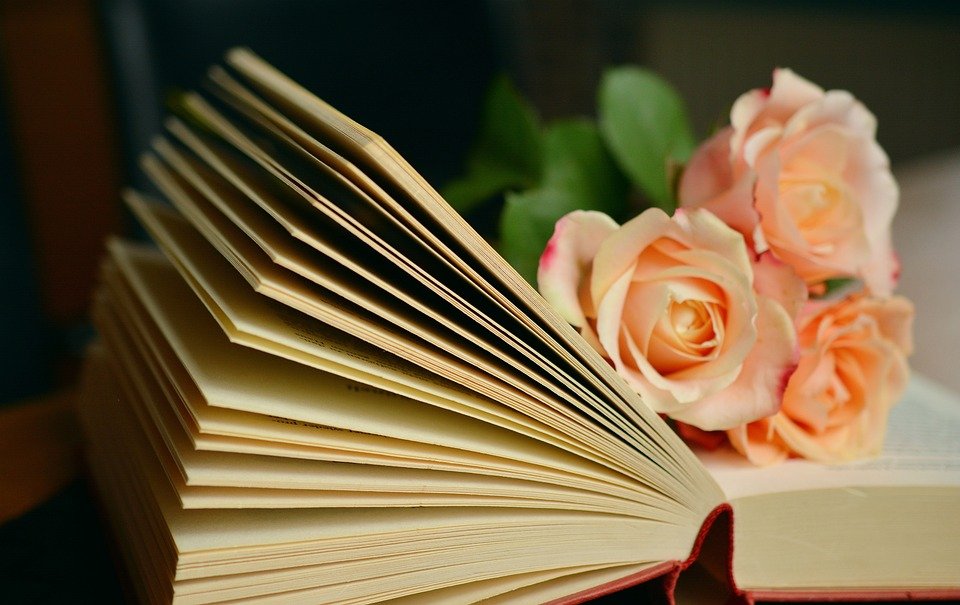 book-1769228_960_720